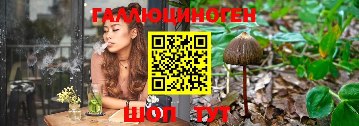 Псилоцибиновые грибы GOLDEN TEACHER  Псилоцибиновые грибы Psilocybe  Вход с VPN  Спасск-Дальний 